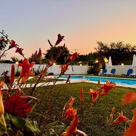 빌라 Cocoon Sidari With Private Pool By Dadovillas Melíssia